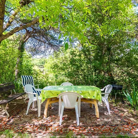 2 - Rose Appartement Montagnac (Alpes-de-Haute-Provence)